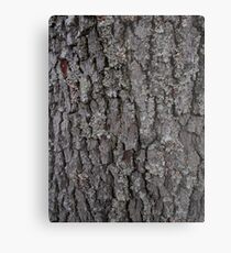 Mossy Bark Metal Print