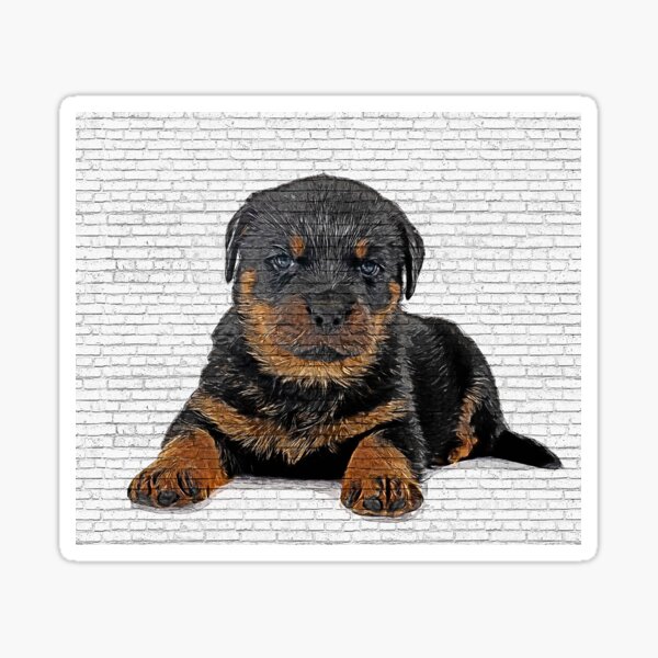 So Cute Rottweiler Dog Puppy - Custom Pet Portrait Art Studio Sticker