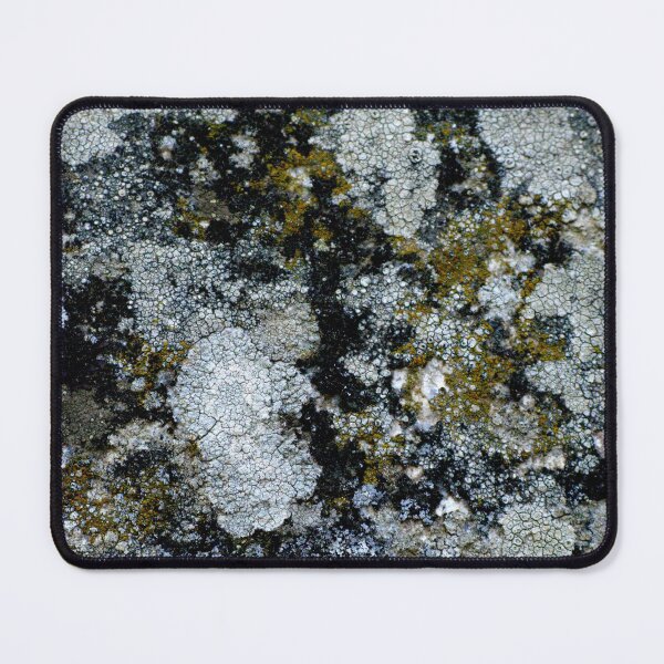 Item preview, Cracked Earth - Nature's Abstract designed and sold by Marilyn Harris.
