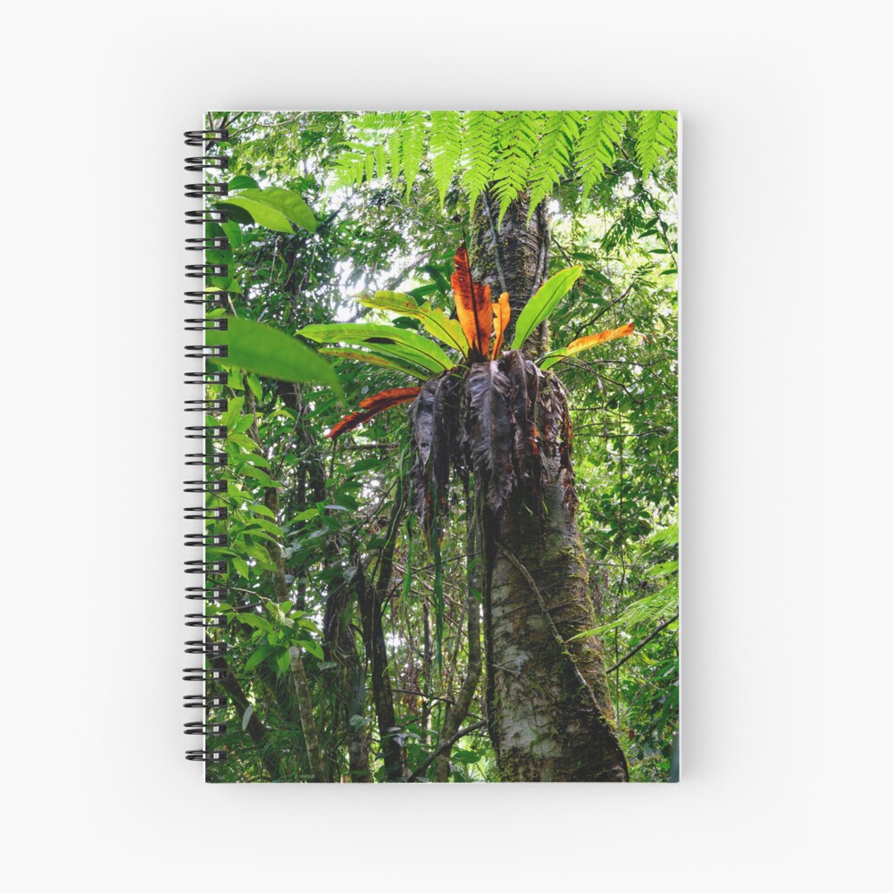 Item preview, Spiral Notebook designed and sold by LP-Images.