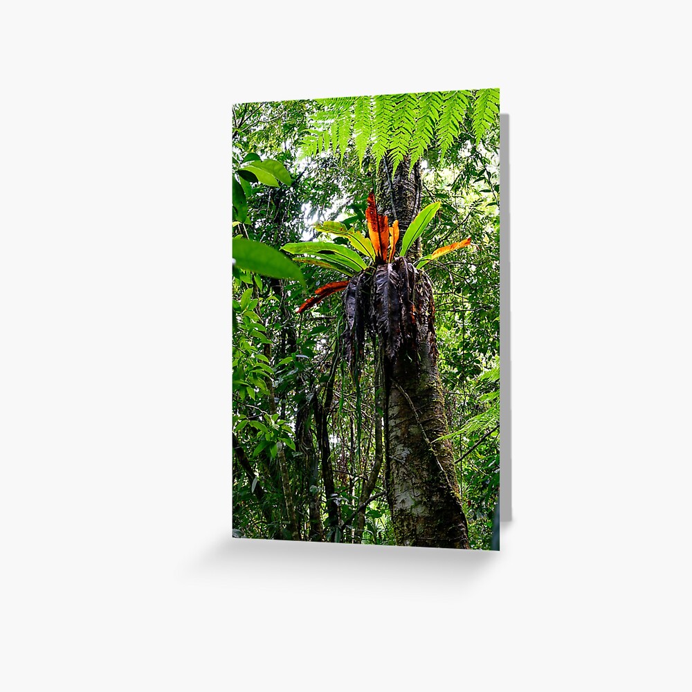 Item preview, Greeting Card designed and sold by LP-Images.