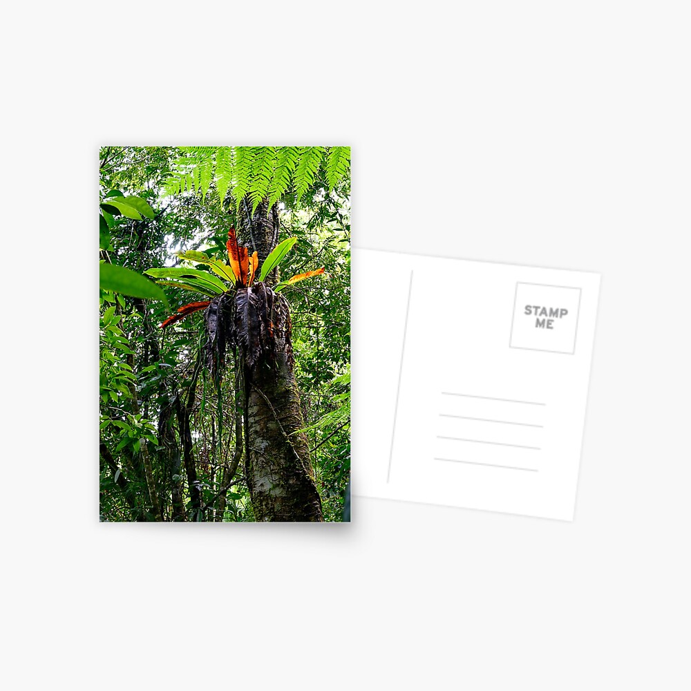 Item preview, Postcard designed and sold by LP-Images.