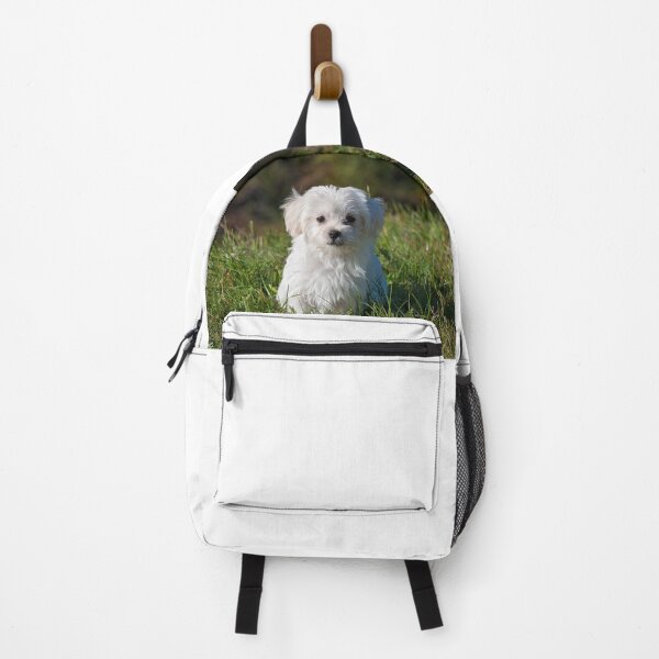 Item preview, White long coated dog designed and sold by TheWondrousShop.
