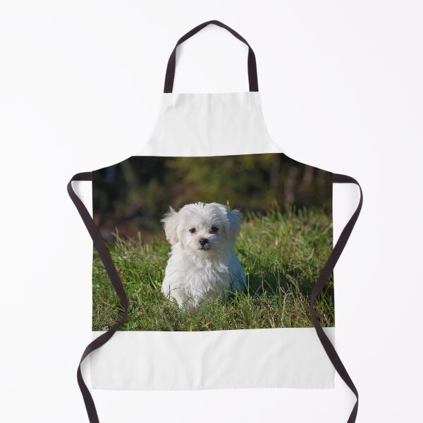 Item preview, White long coated dog designed and sold by TheWondrousShop.
