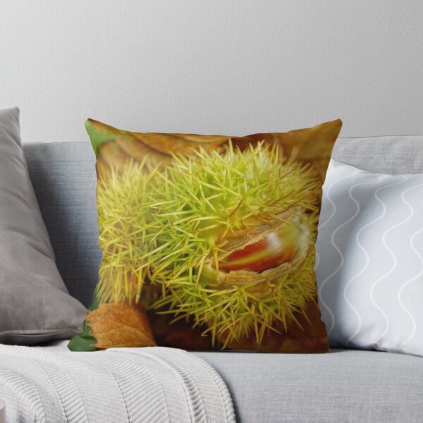 Item preview, Sweet Chestnut designed and sold by pluspixels.
