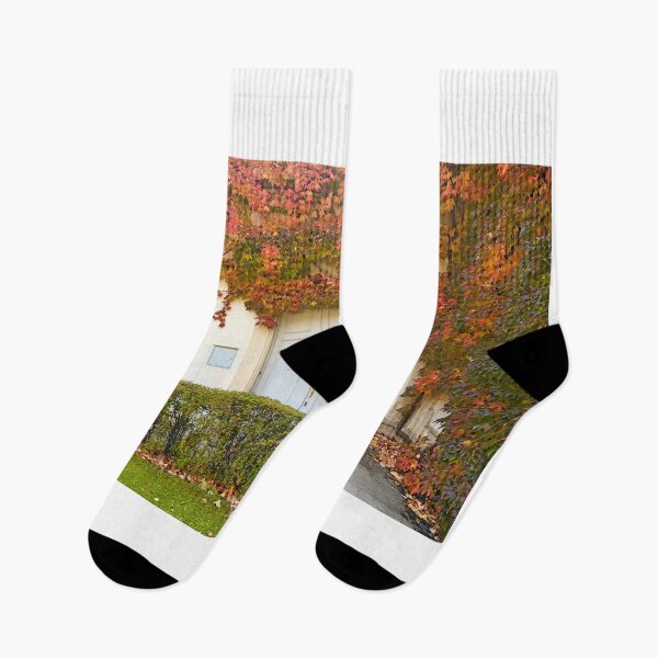 Item preview, the wall of an old house covered with colorful creeper leafs autumn season designed and sold by goceris.