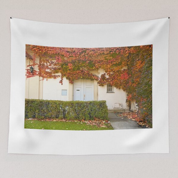 Item preview, the wall of an old house covered with colorful creeper leafs autumn season designed and sold by goceris.