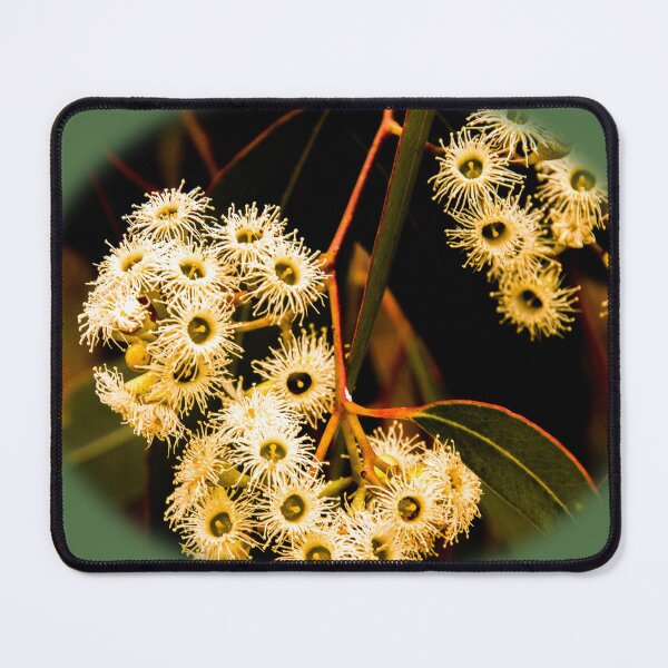 Item preview, Cream delight, Eucalypt blossoms designed and sold by indiafrankk.