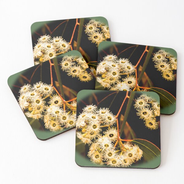 Item preview, Cream delight, Eucalypt blossoms designed and sold by indiafrankk.