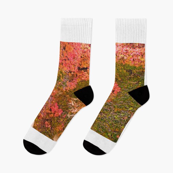 Item preview, the wall with lantern and colorful creeper leafs autumn season designed and sold by goceris.