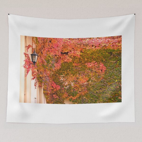 Item preview, the wall with lantern and colorful creeper leafs autumn season designed and sold by goceris.