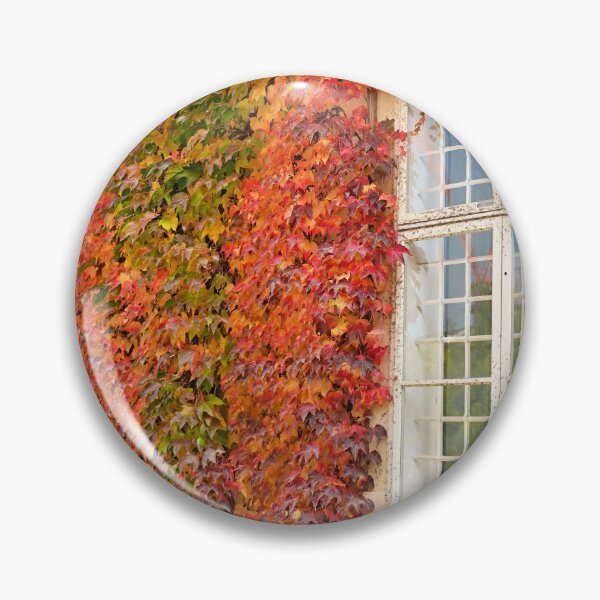 Item preview, wall with wooden windows and colorful creeper leafs autumn season designed and sold by goceris.
