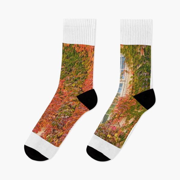 Item preview, wall with wooden windows and colorful creeper leafs autumn season designed and sold by goceris.
