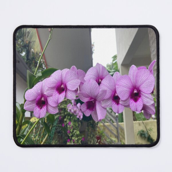 Item preview, Dendrobium Orchid designed and sold by Capture Room.