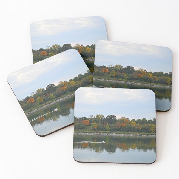 Item preview, a swan swims on the river Danube Vienna Austria autumn season designed and sold by goceris.