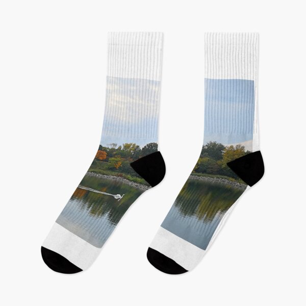 Item preview, a swan swims on the river Danube Vienna Austria autumn season designed and sold by goceris.