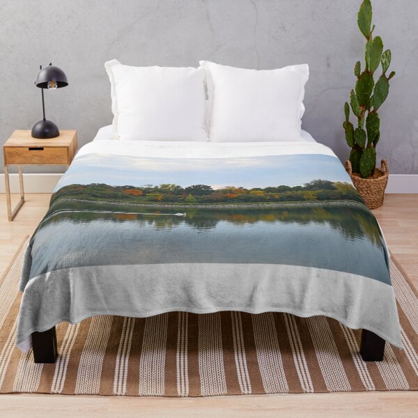 Item preview, a swan swims on the river Danube Vienna Austria autumn season designed and sold by goceris.