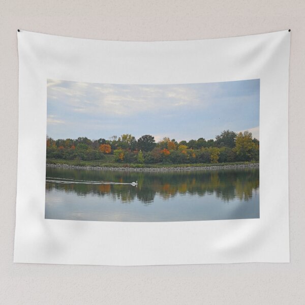 Item preview, a swan swims on the river Danube Vienna Austria autumn season designed and sold by goceris.