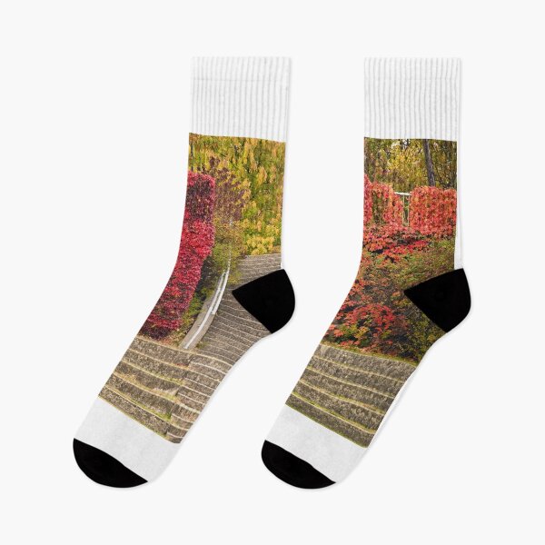 Item preview, Park staircase detail in Vienna autumn season designed and sold by goceris.