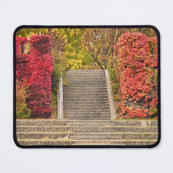 Item preview, Park staircase detail in Vienna autumn season designed and sold by goceris.