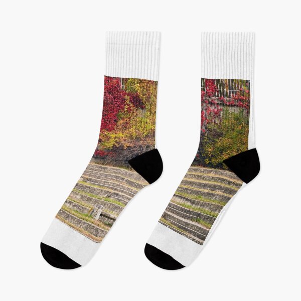 Item preview, Park staircase in Vienna autumn season designed and sold by goceris.