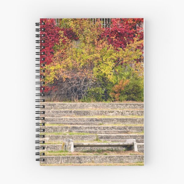 Item preview, Park staircase in Vienna autumn season designed and sold by goceris.