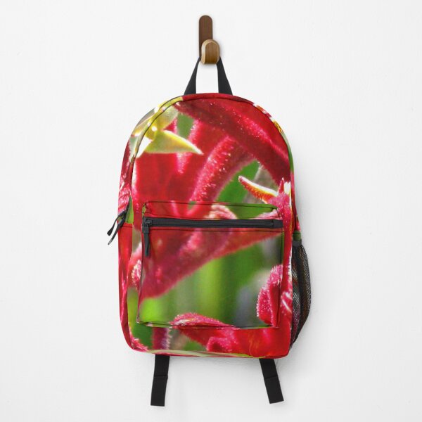 Item preview, Red Kangaroo Paw - Australian Native designed and sold by Marilyn Harris.