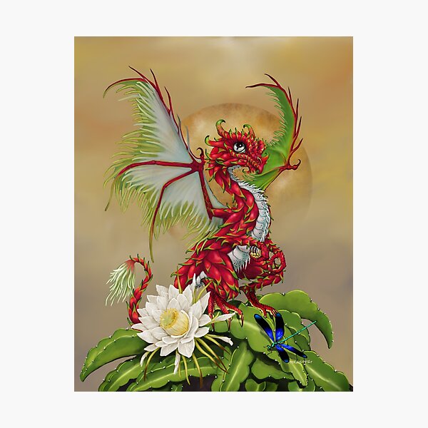 Dragon Fruit Dragon Photographic Print
