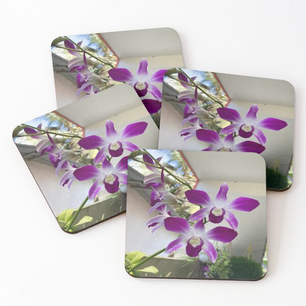 Item preview, Cooktown Orchid - Dendrobium bigibbum designed and sold by Capture  Room.