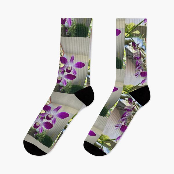 Item preview, Cooktown Orchid - Dendrobium bigibbum designed and sold by Capture  Room.