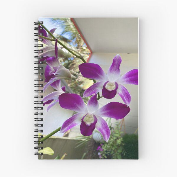 Item preview, Cooktown Orchid - Dendrobium bigibbum designed and sold by Capture  Room.