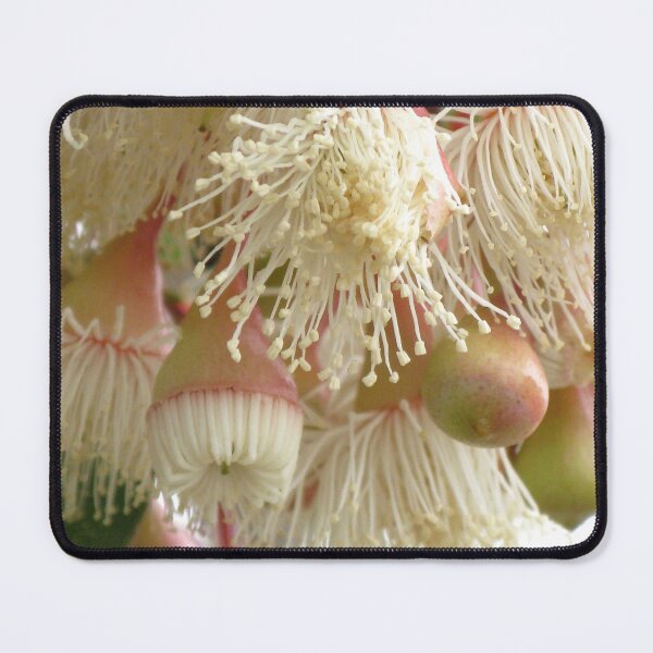 Item preview, Chantilly Lace - Eucalyptus globulus designed and sold by Marilyn Harris.