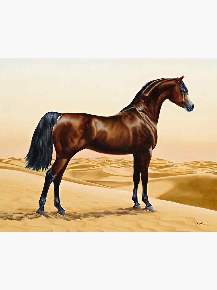 Discover Arabian Horse - William Barraud Premium Matte Vertical Poster