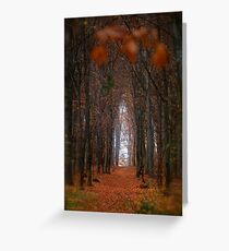 How to open door to paradise . Psalm 127:2 . #autumn . Andrzej Goszcz. Views 1307. Greeting Card
