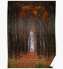 How to open door to paradise . Psalm 127:2 . #autumn . Andrzej Goszcz. Views 1307. Poster