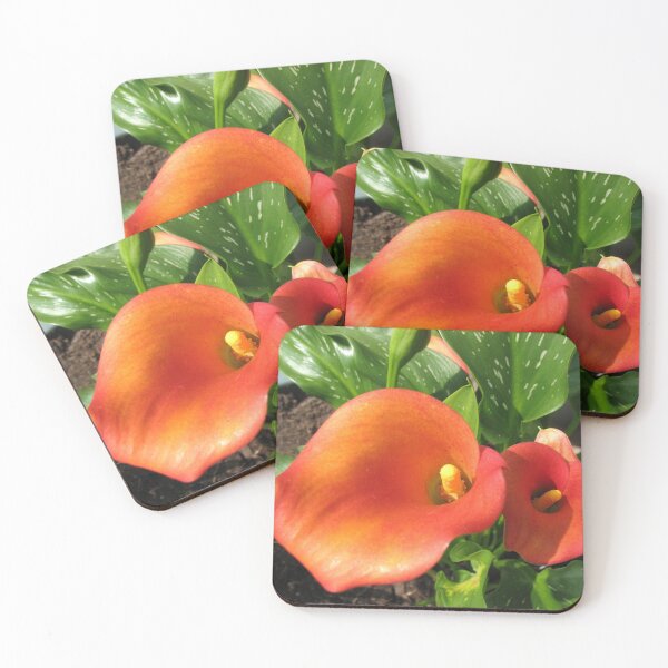 Item preview, Two Orange Calla Lilies designed and sold by SunriseRose.