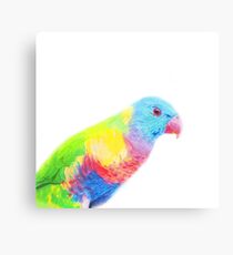 Rainbow Lorikeet Canvas Print
