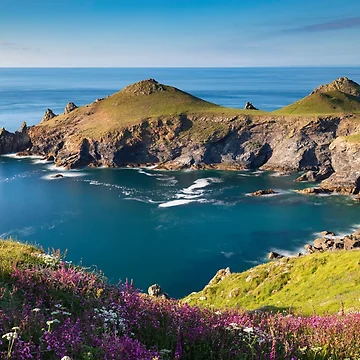Artwork thumbnail, Spring at The Rumps by bitm2007