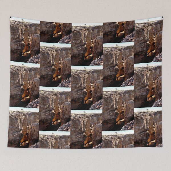 Item preview, Sesriem Canyon, Namibia designed and sold by Carole-Anne.