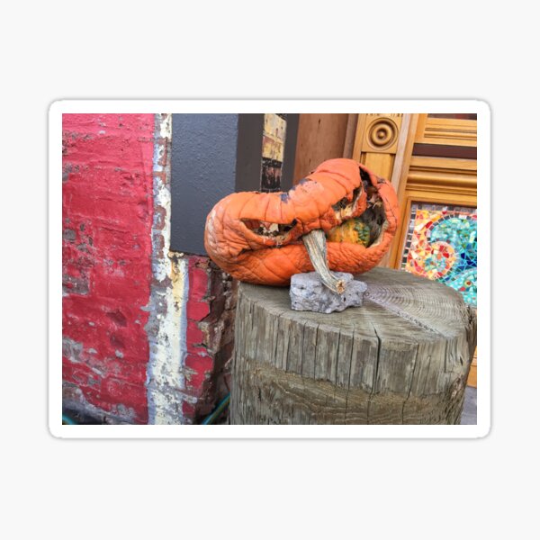 Squashed pumpkin Sticker