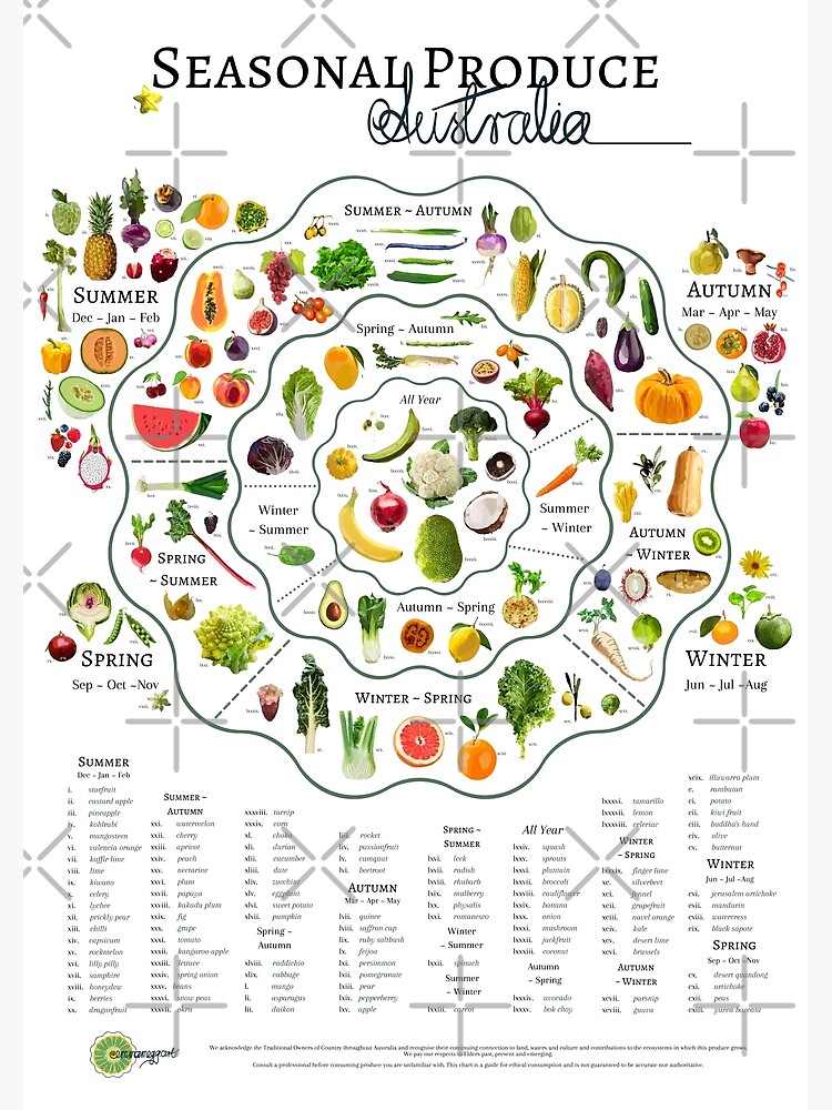 Seasonal Produce Chart Australia Premium Matte Vertical Poster Sold 