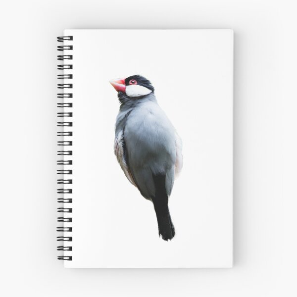Item preview, Copy of java sparrow bird designed and sold by Dinasworld.