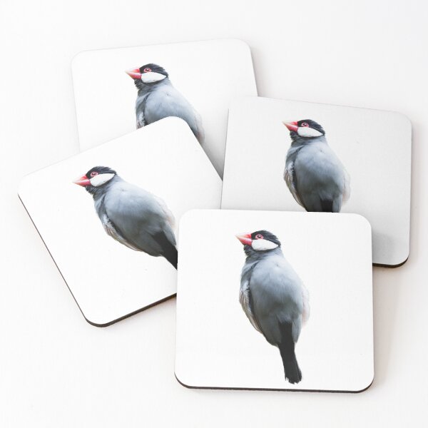 Item preview, Copy of java sparrow bird designed and sold by Dinasworld.