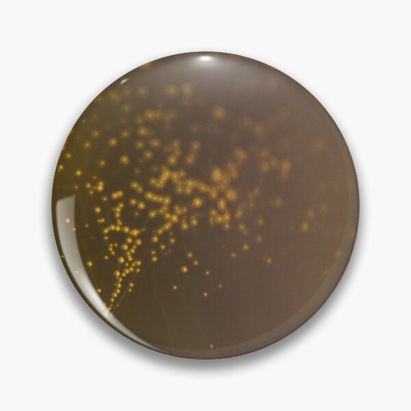 Item preview, Afterglow 2022 designed and sold by Denise Abé.