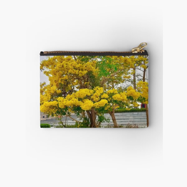 Item preview, Golden Trumpet Tree - Handroanthus Chrysotrichus designed and sold by Capture  Room.