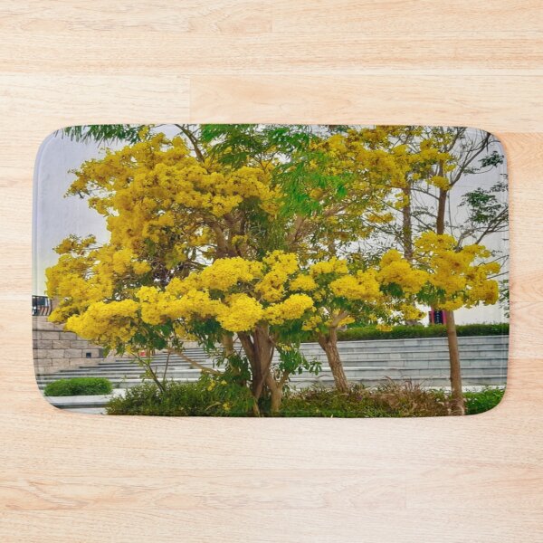 Item preview, Golden Trumpet Tree - Handroanthus Chrysotrichus designed and sold by Capture  Room.