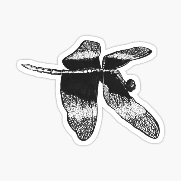 Flying Dragonfly Sticker