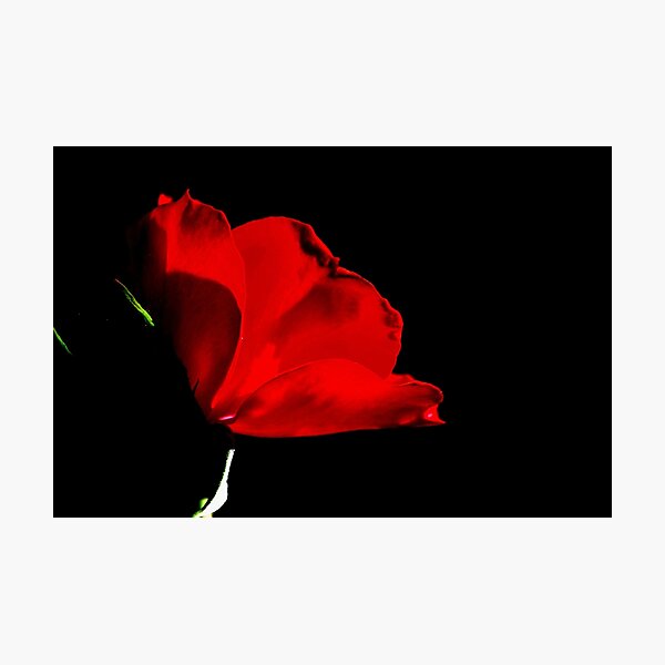 Mustic red and black Photographic Print