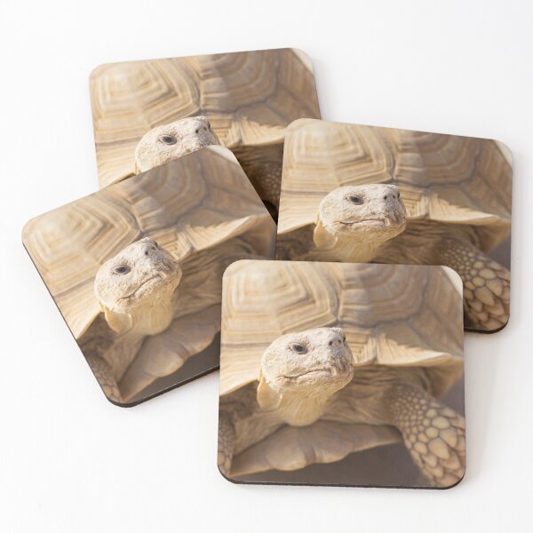 Item preview, desert turtle designed and sold by Dinasworld.