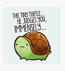 This turtle.. he judges you. Photographic Print